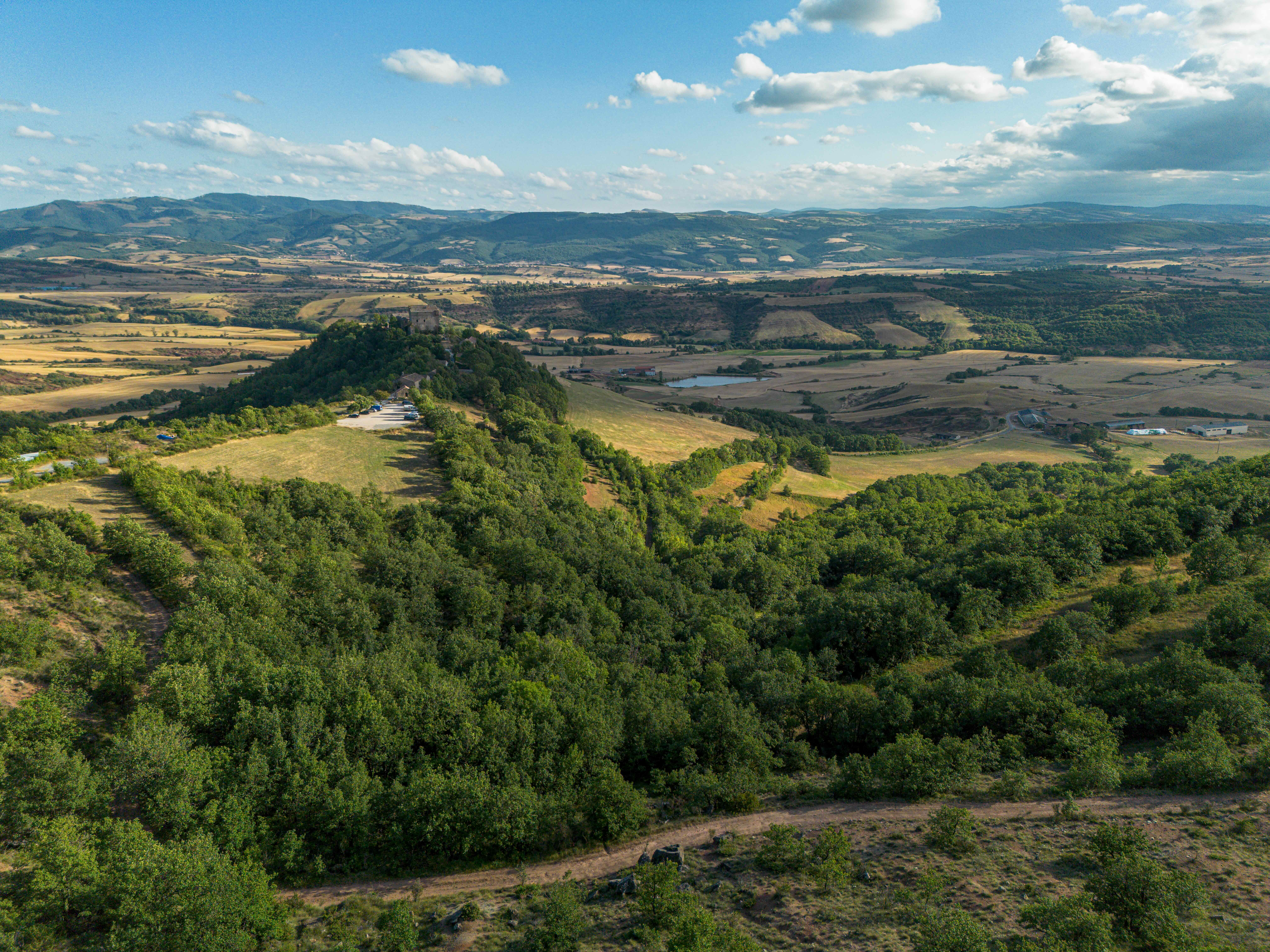 Rougier de Camarès 