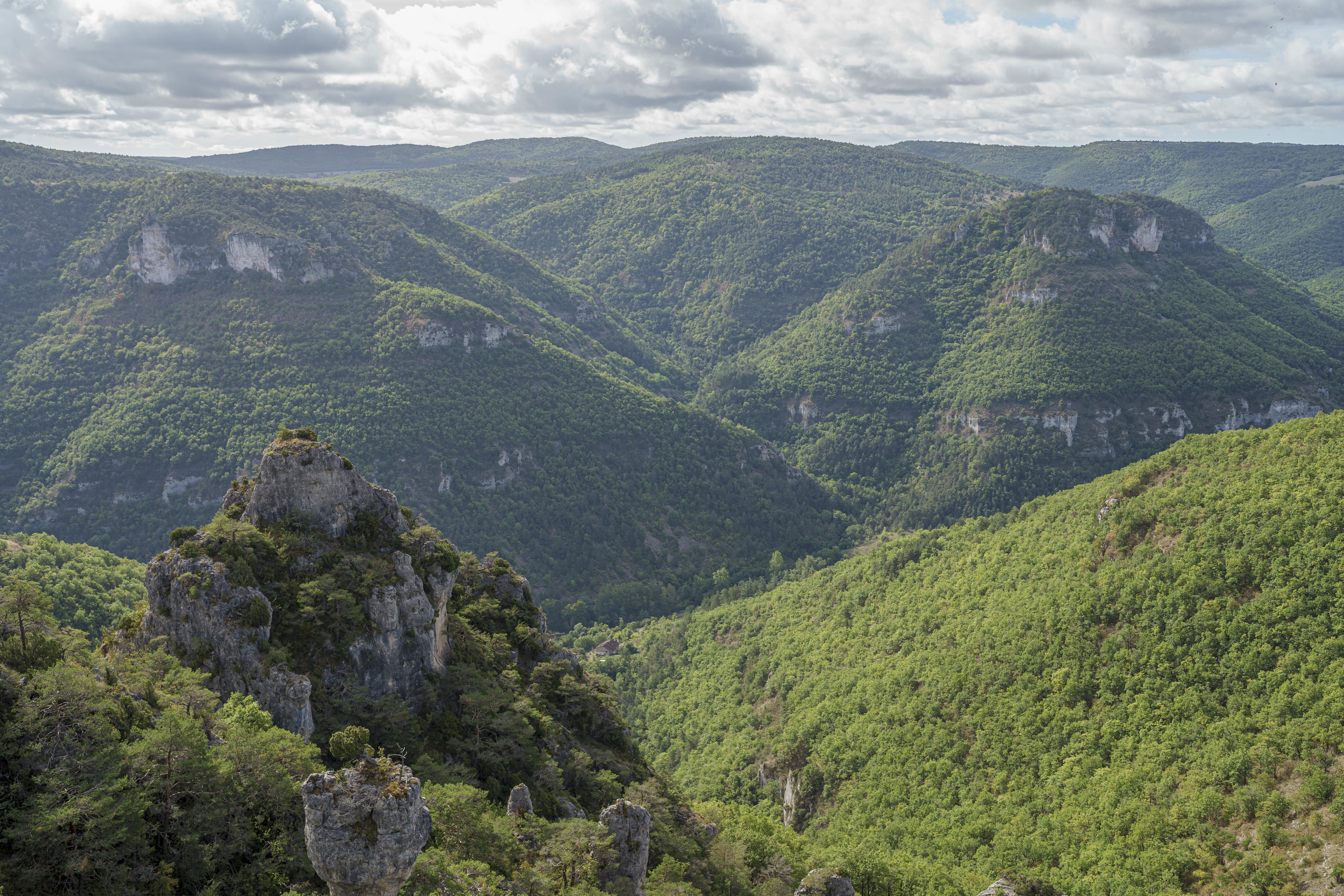 Gorges de la Dourbie 