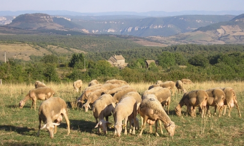 Ferme de la Blaquière