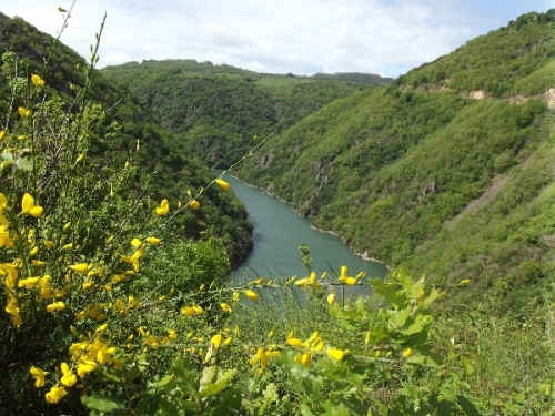 Le Clos d'Edouard