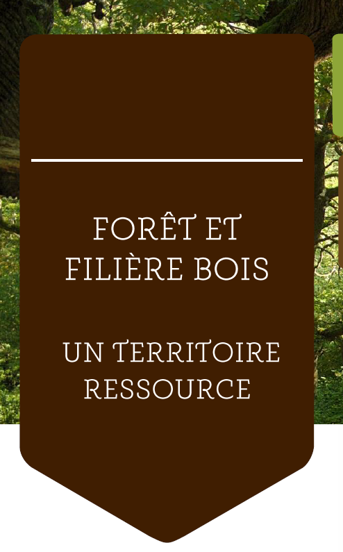 capture filière bois