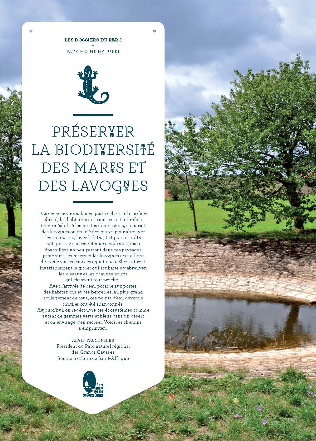 vignette mares et lavognes