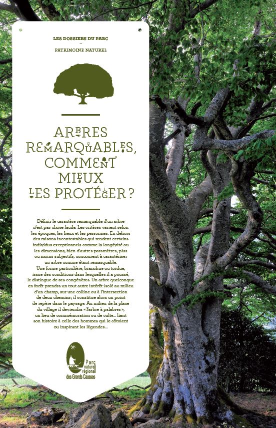 Etiquette arbres r