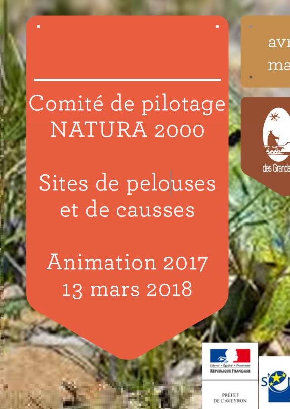 etiquette copie n 2000 1