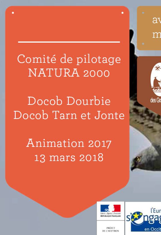 etiquette Copie N 2000 2