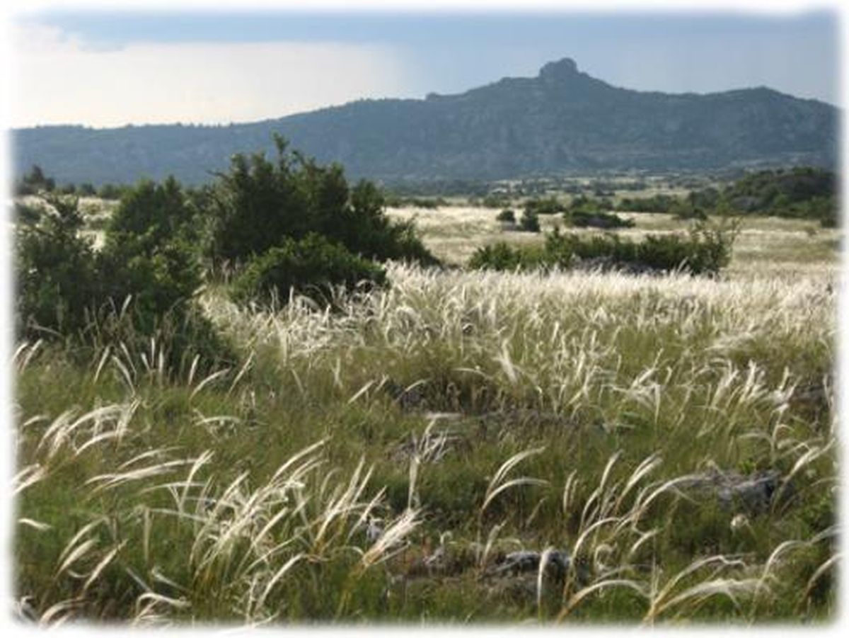 visuel languedoc nature