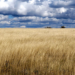 Le Larzac