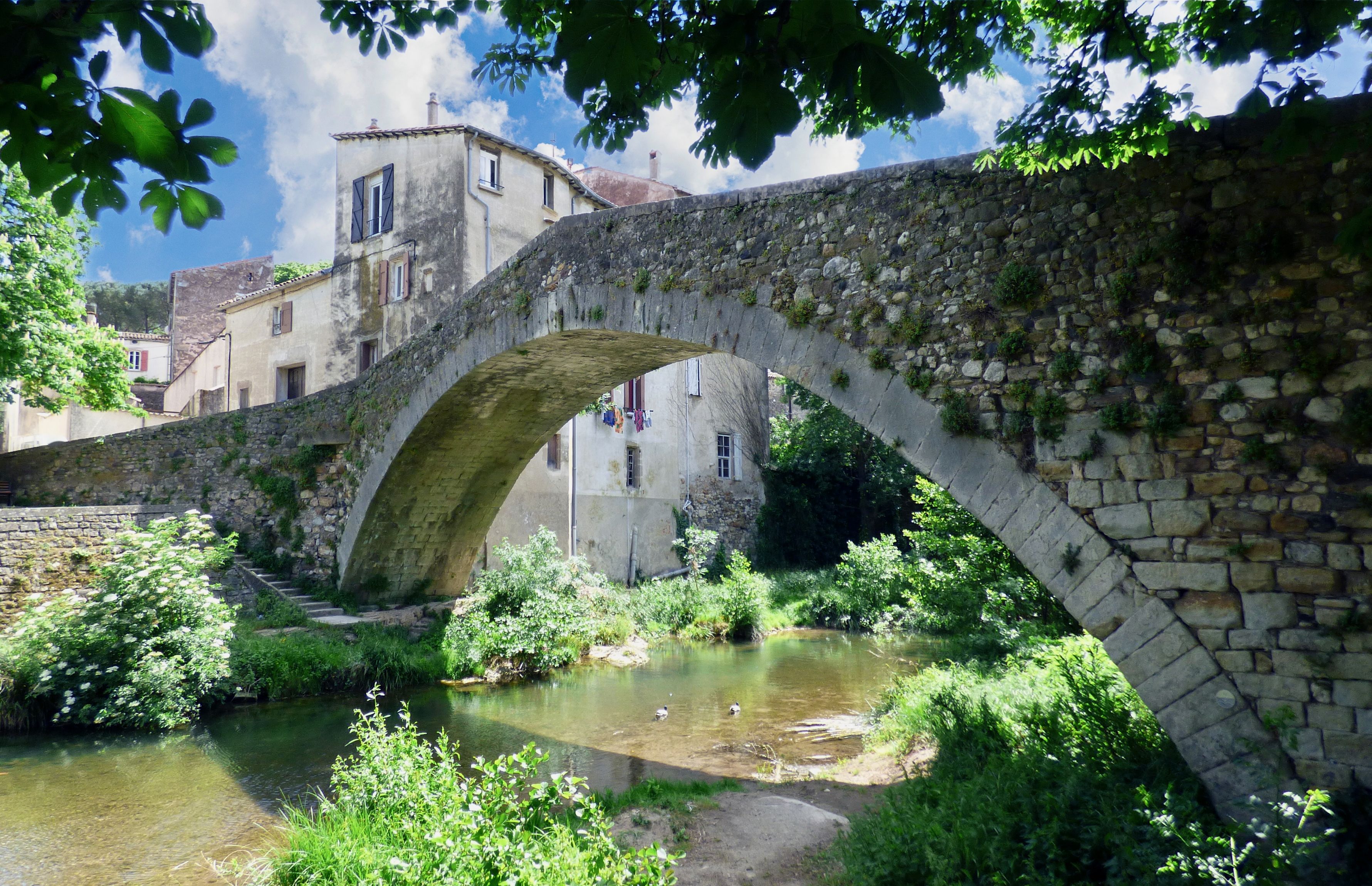 PelerinLodeve